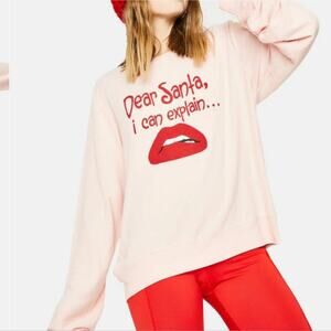 NEW Wildfox Dear Santa I Can Explain Baggy Jumper Christmas Sweatshirt